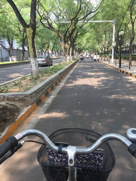 Bike tours easy safe and fun in beijing
